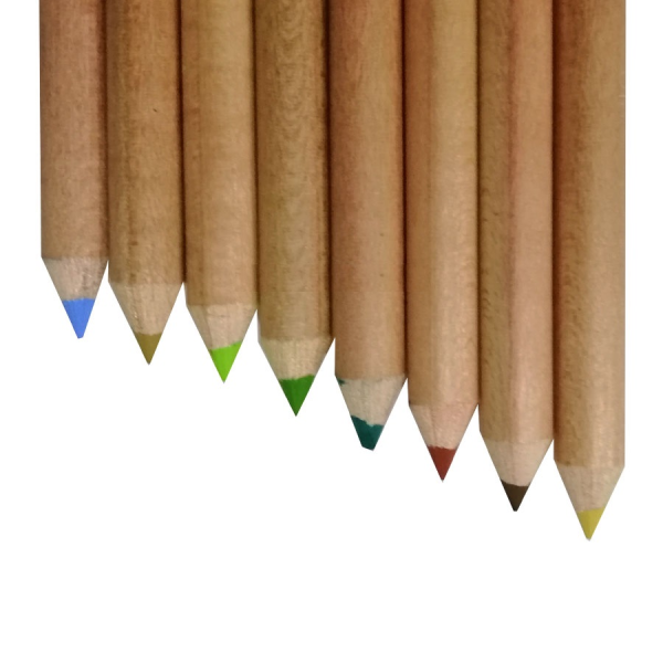 مداد پاستل کرتاکالر مجموعه طبیعت 8 عددی - فروشگاه هنر افق